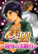 美囚Ⅳ~陵辱の実験台~ パッケージ画像表