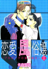 恋愛風俗嬢2 パッケージ画像表