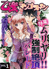 乙蜜マンゴスチン VOL.1「ムリヤリ!! 強制絶頂パレード」特集 パッケージ画像表