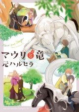 マウリと竜 パッケージ画像表