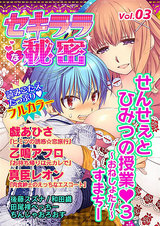 セキララな秘密 Vol.03 パッケージ画像表