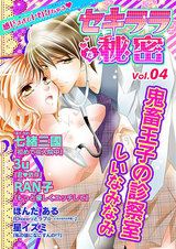 セキララな秘密 Vol.04 パッケージ画像表