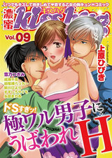 濃蜜kisshug Vol.09「ドSすぎッ!極ワル男子にうばわれH」 パッケージ画像表