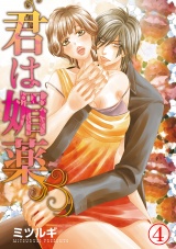 君は媚薬 4巻 パッケージ画像表