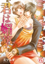 君は媚薬 6巻 パッケージ画像表