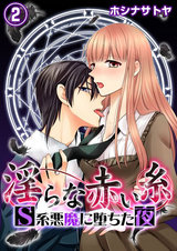淫らな赤い糸―S系悪魔に堕ちた夜―2 パッケージ画像表