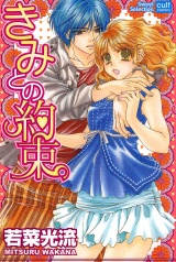 きみとの約束 パッケージ画像表