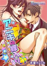 アニキの嫁入り~お見合いチン♂プレイ交プレイ~ パッケージ画像表